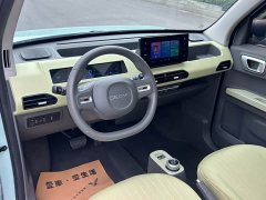 Geely Panda Mini New Spring Edition Treasure Bear - ფოტო 6