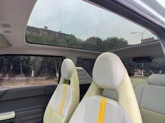 Geely Panda Mini New Spring Edition Treasure Bear - ფოტო 9
