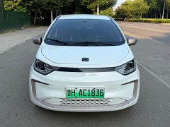 Flower Fairy Faoxianzi 302km Luxury 30.2kWh - photo 2