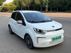 Flower Fairy Faoxianzi 302km Luxury 30.2kWh - photo 3