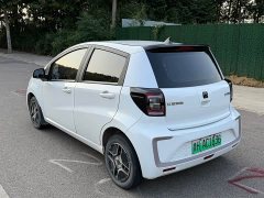 Flower Fairy Faoxianzi 302km Luxury 30.2kWh - photo 4