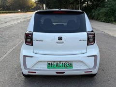 Flower Fairy Faoxianzi 302km Luxury 30.2kWh - photo 5