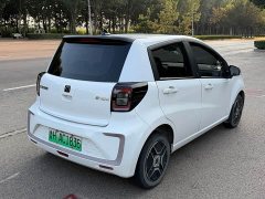 Flower Fairy Faoxianzi 302km Luxury 30.2kWh - photo 6