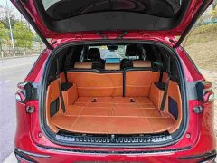 BYD Tang New Energy DM-i 112KM Premium Edition - ფოტო 14