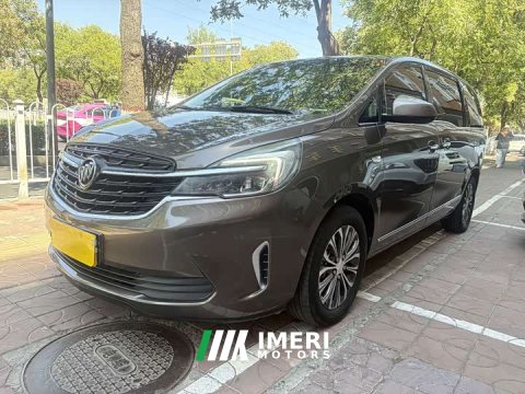 2021 Buick GL8 Land Business Class 652T Luxury - ავტომობილი ჩინეთიდან