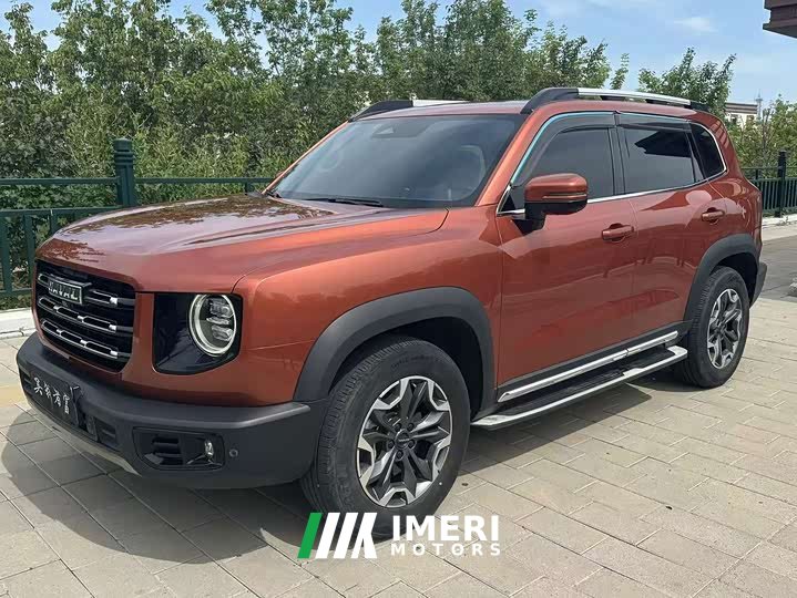 Great Wall Dachshund 2021 2.0T DCT Four-Wheel Drive Chinese Rural Dog Edition - ავტომობილი ჩინეთიდან