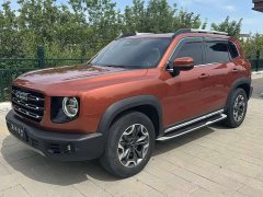 Great Wall Dachshund 2021 2.0T DCT Four-Wheel Drive Chinese Rural Dog Edition - ფოტო 1