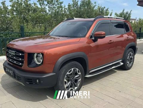 2022 Great Wall Dachshund 2021 2.0T DCT Four-Wheel Drive Chinese Rural Dog Edition - car from China