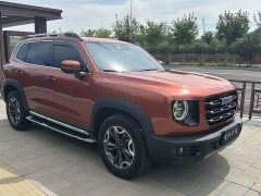 Great Wall Dachshund 2021 2.0T DCT Four-Wheel Drive Chinese Rural Dog Edition - ფოტო 3