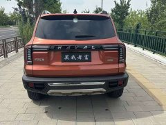 Great Wall Dachshund 2021 2.0T DCT Four-Wheel Drive Chinese Rural Dog Edition - ფოტო 5