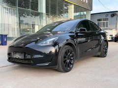 Tesla Model Y 2022 Rear-Wheel Drive - ფოტო 3