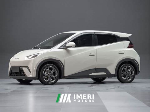 2025 BYD Seagull 405km Flying Edition - ავტომობილი ჩინეთიდან