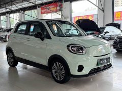 Leapmotor Leapo T03 403 Comfort Edition - ფოტო 3