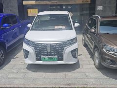 Lestar Lingtu E-M8 320km Luxury Edition 9-seater - фото 2