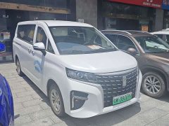 Lestar Lingtu E-M8 320km Luxury Edition 9-seater - фото 3