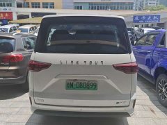 Lestar Lingtu E-M8 320km Luxury Edition 9-seater - фото 5
