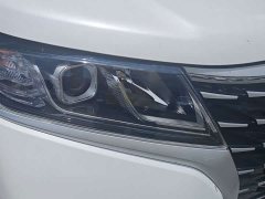 Lestar Lingtu E-M8 320km Luxury Edition 9-seater - фото 7