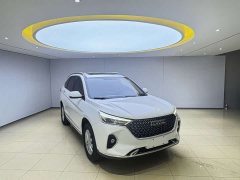 Haval M6 2021 PLUS 1.5T DCT Luxury Smart Connected Edition - ფოტო 3