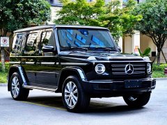 Mercedes-Benz G-Class 2020 G 350 - ფოტო 2