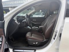 BMW 3 Series 320Li M Sport Package - ფოტო 10