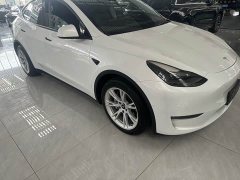 Tesla Model Y Long Range All-Wheel Drive - ფოტო 1