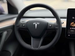 Tesla Model 3 Facelift Standard Range RWD Upgrade 3D1 - ფოტო 12