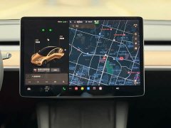 Tesla Model 3 Facelift Standard Range RWD Upgrade 3D1 - ფოტო 13