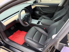 Tesla Model 3 Facelift Standard Range RWD Upgrade 3D1 - ფოტო 8