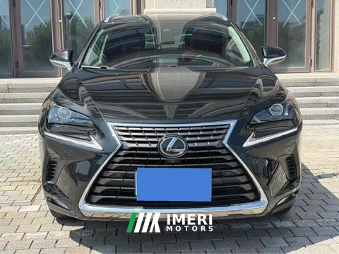 2021 Lexus NX 2018 200 AWD Stylish Edition National V Emission Standard - автомобиль из Китая