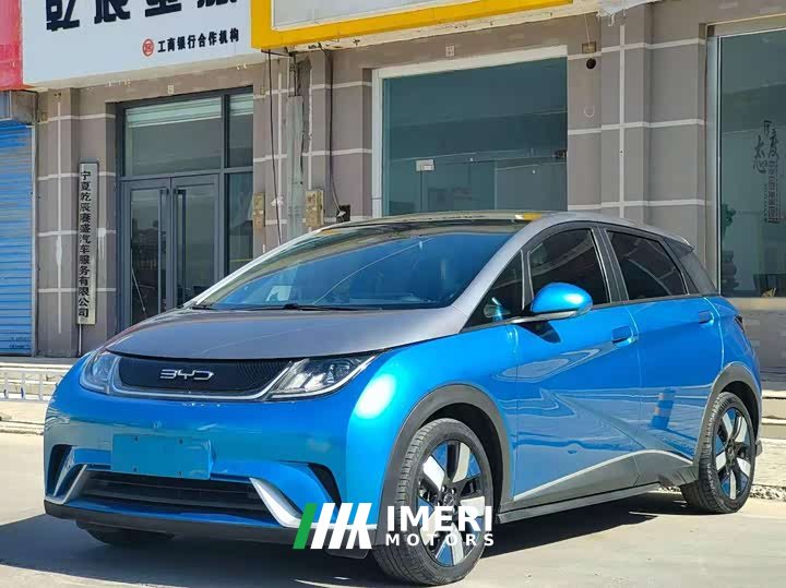 BYD Dolphin 2023 401km Knight Edition - ავტომობილი ჩინეთიდან