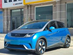 BYD Dolphin 2023 401km Knight Edition - ფოტო 1