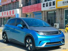 BYD Dolphin 2023 401km Knight Edition - ფოტო 3