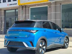 BYD Dolphin 2023 401km Knight Edition - ფოტო 9
