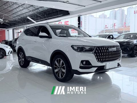 2023 Haval H6 National Trend Edition 1.5T Automatic Champion Version - car from China