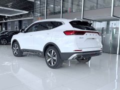 Haval H6 National Trend Edition 1.5T Automatic Champion Version - ფოტო 11
