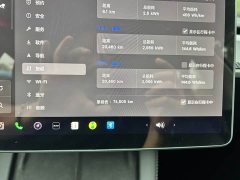 Tesla Model 3 2022 Rear-Wheel Drive - ფოტო 14