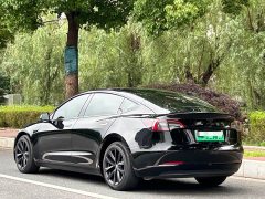 Tesla Model 3 2022 Rear-Wheel Drive - ფოტო 4