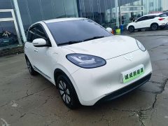 Wuling Binguo 333km Joy Edition - ფოტო 1