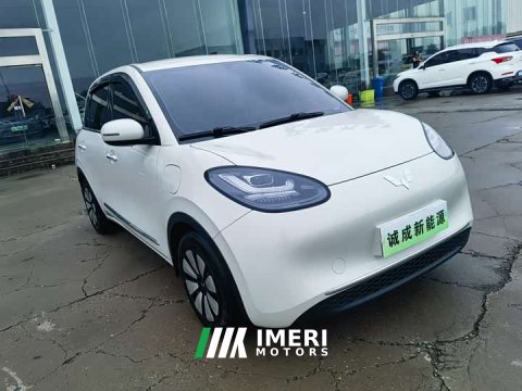 2024 Wuling Binguo 333km Joy Edition - ავტომობილი ჩინეთიდან