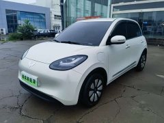 Wuling Binguo 333km Joy Edition - ფოტო 3