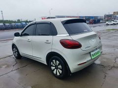 Wuling Binguo 333km Joy Edition - ფოტო 4