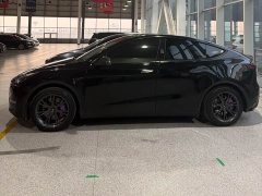 Tesla Model Y Rear-Wheel Drive - ფოტო 3