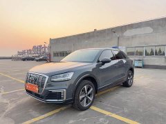 Audi Q2L e-tron 2019 Pure Electric Smart Comfort Edition - ფოტო 1