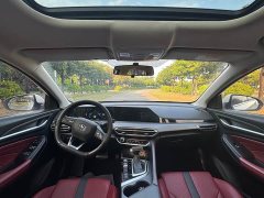 Changan Eado PLUS Blue Whale NE 1.4T GDI DCT Flagship - ფოტო 14