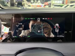 BYD Sea Lion 06 DM-i 310 Voyage Edition - ფოტო 10
