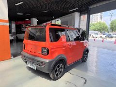 Geely Panda 200km Panda Knight - ფოტო 12