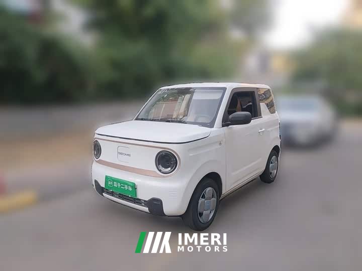 Geely Panda Mini 200km Endurance Edition - ავტომობილი ჩინეთიდან