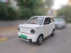 Geely Panda Mini 200km Endurance Edition - ფოტო 1
