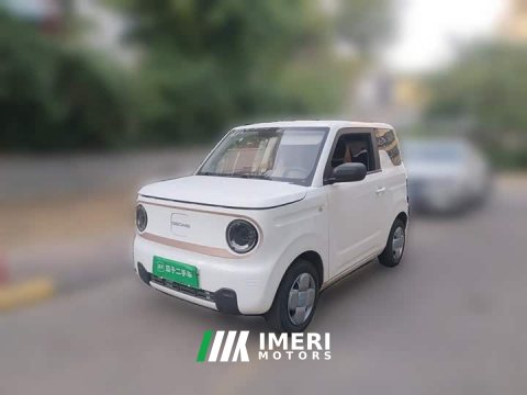 2023 Geely Panda Mini 200km Endurance Edition - ავტომობილი ჩინეთიდან