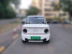 Geely Panda Mini 200km Endurance Edition - ფოტო 2